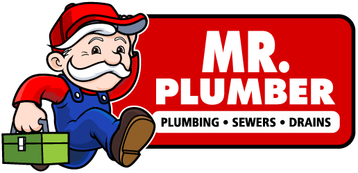mr plumber